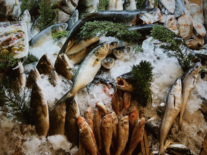 干貨 — 海苔、昆布、豉油、味醂、芥辣粉